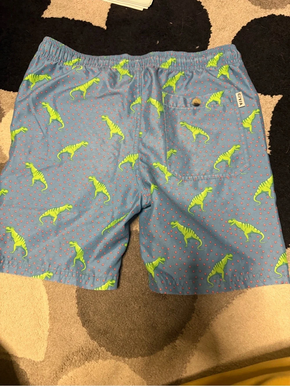 Kids Blue Swim Trunks with Neon Green Dino Print -